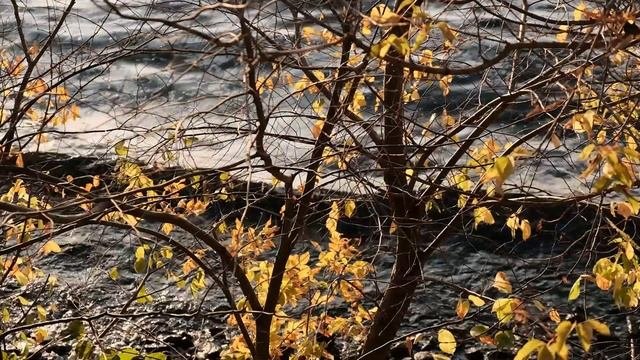 Видеопоэзия. Мария Захарова