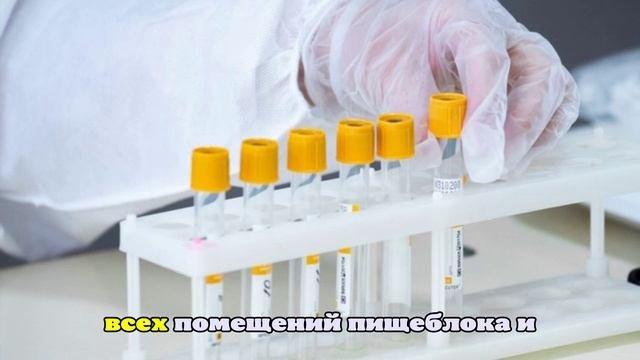В школе Екатеринбурга началось расследование после отравления учащихся