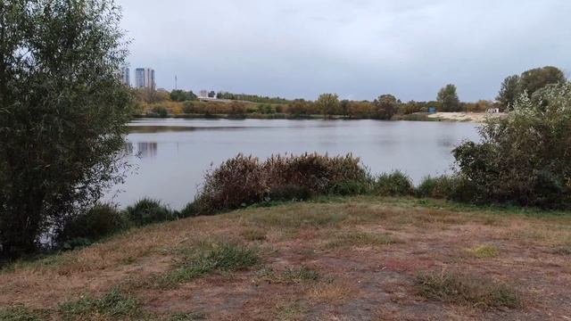 Прогулка с собачками 01.10.25.