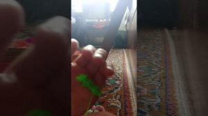 дворец браслетов