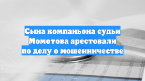 Сына компаньона судьи Момотова арестовали по делу о мошенничестве