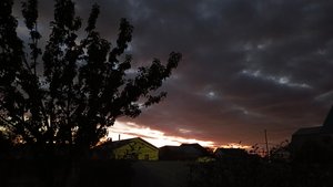 У нас осень🍁🏡 Будни: надробила зерносмесь, убрала свёклу, перебрала лук/чеснок, в теплице порядок.