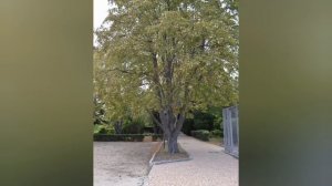 Крым 2025,обрывки памяти.