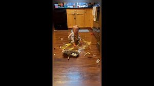 Сборник смешных видео 10
