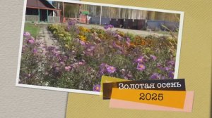 КУРОРТ  ДП Сунгуль  на берегу Уральского моря, озера СИНАРА!! Золотая осень 2025 в самом разгаре!!!