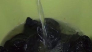 Мясные рулетики с черносливом и курагой