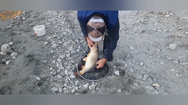 Рыбалка на Дону. Калач на Дону!!! смотреть онлайн