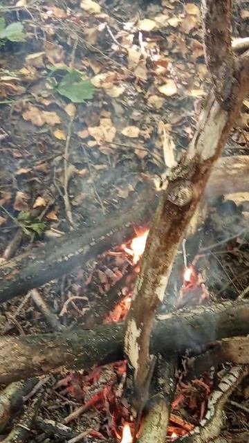 Костерок в лесу для шашлыка осенью