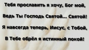 "ТЫ ПОДНЯЛ МЕНЯ С ЗЕМЛИ!" Слова, Музыка: Жанна Варламова