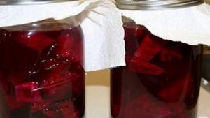 Квас из свеклы