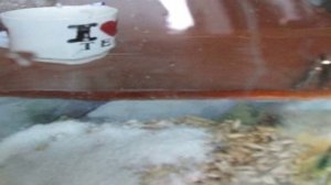 Квас из овса