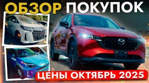Обзор стоянки❗️ Какие модели НЕ БОЯТСЯ НОВОГО УТИЛЯ❓ АВТО от 500 000 ❗️ Актуальные цены октябрь 2025