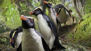 Сериал Наша планета — 2 сезон 2 серия / Our Planet