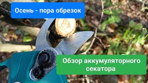 Осень - пора обрезок. Обзор аккумуляторного секатора