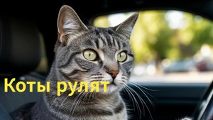 Коты рулят!  Процессы, распаковка.