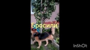#потеряшки