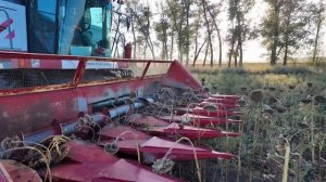 Рядная жатка НАШ спустя 17 лет