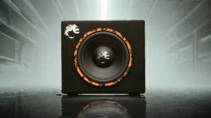 Активный сабвуфер DL AUDIO Piranha 12A SE 2.1