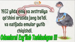 Chin haqiqat bo'lgan 20 ta bema'ni faktlar - Dunyoning G'aroyib faktlari !!!