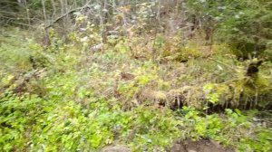 Кулинарный отдых на природе.