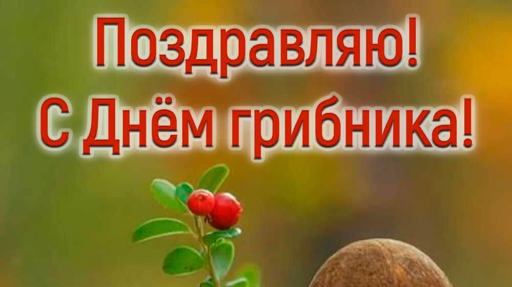 С ДОБРЫМ УТРОМ,ГРИБНИКИ! ОСЕННЯЯ ПОРА!ГРИБОВ ОЧАРОВАНЬЕ!