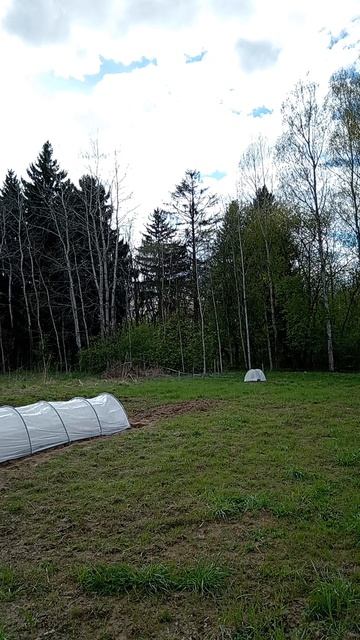 Пробуем косилку, хорошо что купили #мещанскоеболото #дачузафигачу #дача #обзордачи #частныедома смотреть онлайн