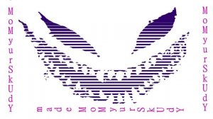 БРОНЯЖЕЛЕТ