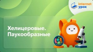 Хелицеровые. Паукообразные. Видеоурок по биологии 7 класс