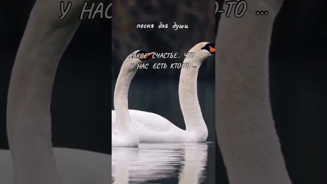 Как хорошо, что у нас у всех есть Кто-то..! смотреть онлайн