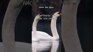 Как хорошо, что у нас  у всех есть  
Кто-то..!