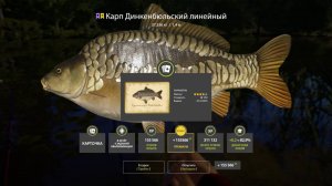 1100 СЕРЫ В ЧАС НА НОВУЮ НАЖИВКУ НА МЕДНОМ, ПЕРЧИКИ НА МОРЕ И РАЗДАЧА НА КУОРИ В РУССКОЙ РЫБАЛКЕ 4