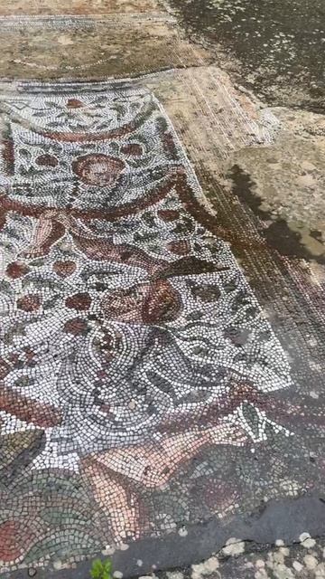 ЗАМЕТКИ. КАРФАГЕН.