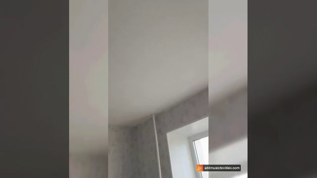 2_5427047059486175135