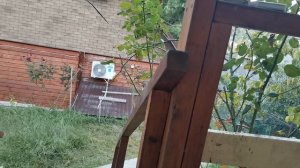 СОЧИ ГОРНОЕ ЛОО ВЕЧЕР 02.10.2025