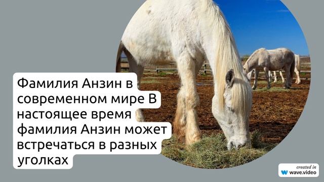 Фамилия Анзин: происхождение, история и особенности склонения фамилии в разных языках мира