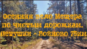 Осенняя вело Мещера по чистым дорожкам. Петушки - Войново 75км
