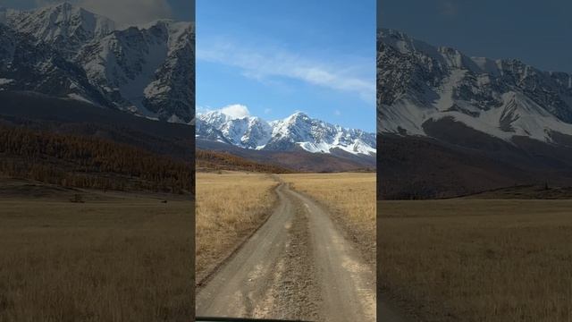 2025 Золотая осень смотреть онлайн