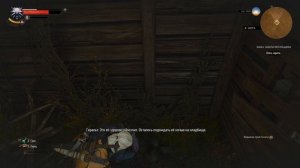 The Wither 3:Wild Hunt "Заботы могильщика"