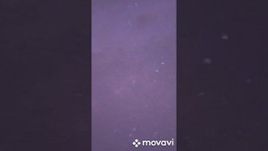 Stalker Тень Чернобыля 2 серия 1 сезон