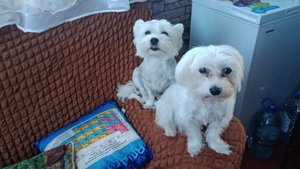 На мне висит большой долг перед мужем....