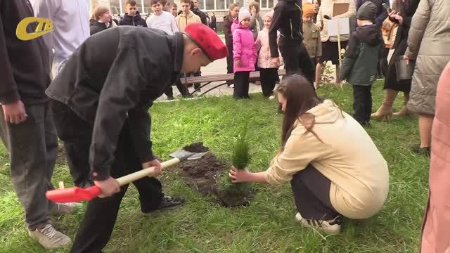 В ГИМНАЗИИ №1 ЖЕЛЕЗНОГОРСКА ЗАЛОЖИЛИ КЛУМБУ 