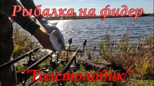 Рыбалка на фидер. Толстолобик.