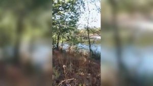 Разговор души с телом