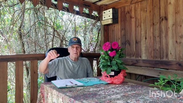 СОВЕСТЬ смотреть онлайн