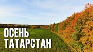 Тихая симфония осени …