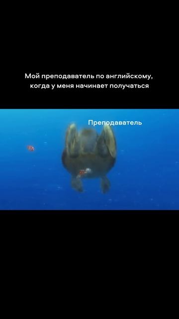 Верю в каждого ученика. Когда вижу его успех — знаю, что всё не зря #английскийдляначинающих