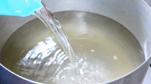 Изумительные помидоры на зиму с МОРКОВНЫМИ листьями.