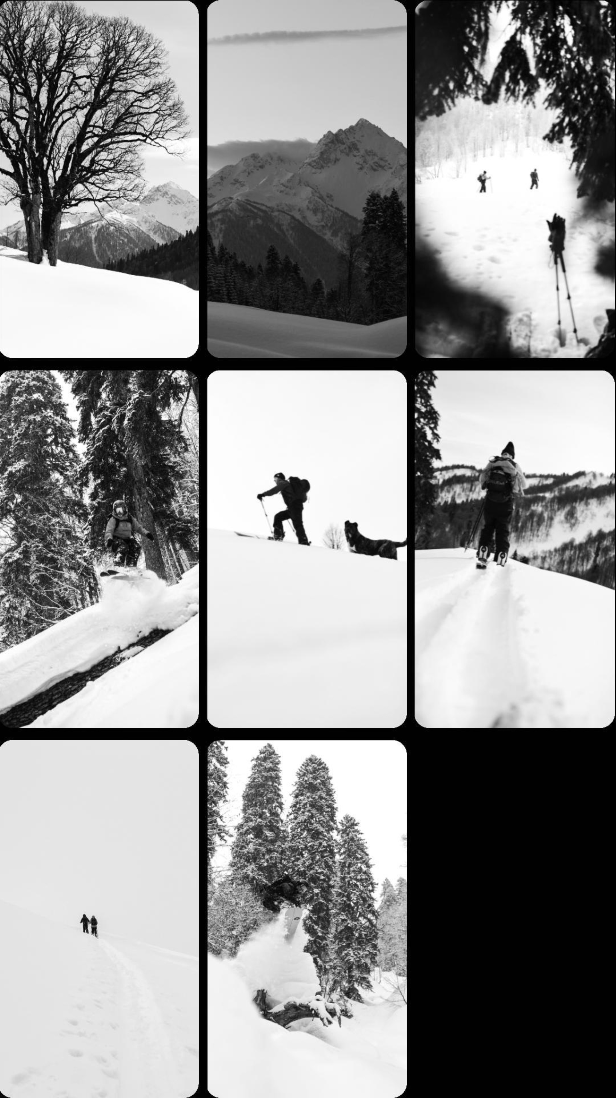 Cкитур в Абхазии со сноубордистами