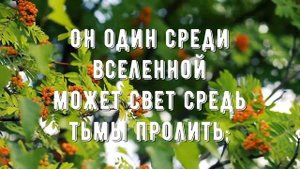 Что за Друга мы имеем - минус мой 4