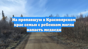 На пропавшую в Красноярском крае семью с ребенком могли напасть медведи